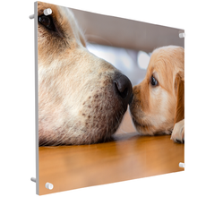 Load image into Gallery viewer, Splash-proof 250 Watt Convector Heater - Ideal For Bathroom