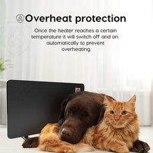 Load image into Gallery viewer, Chicken Coop Heater - 150 Watts