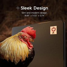 Load image into Gallery viewer, Chicken Coop Heater - 150 Watts